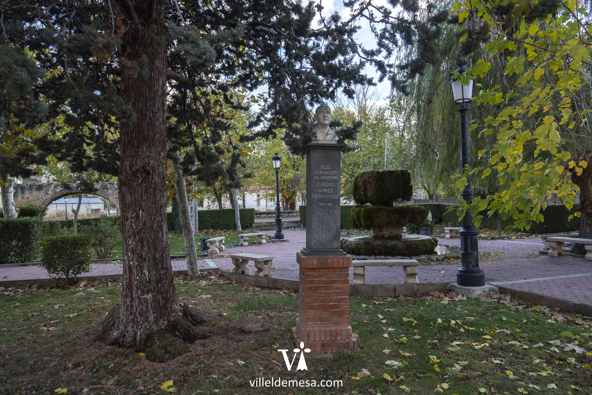 Pedro Gómez Fernández